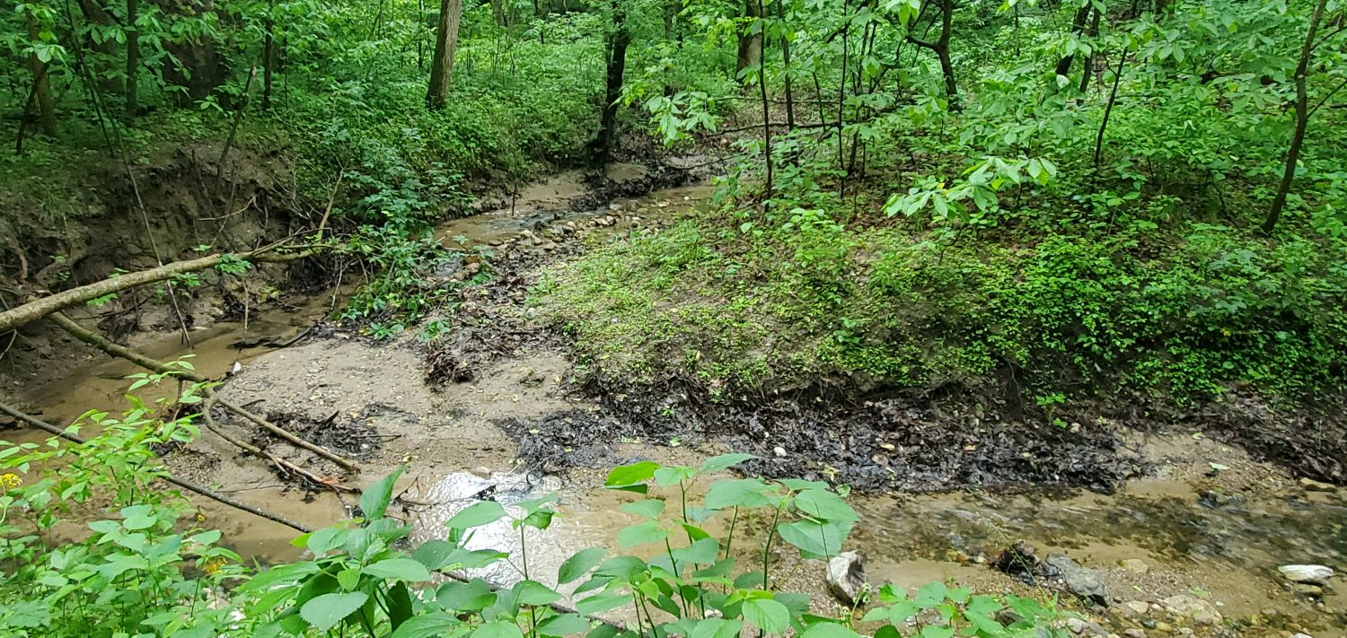 Fox Ridge State Park 